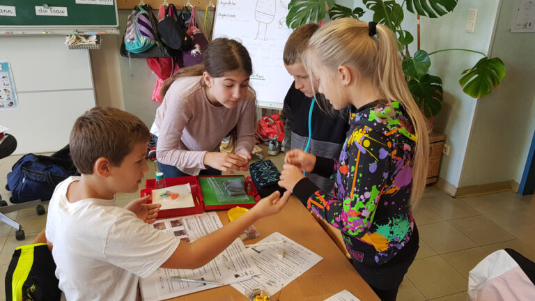 Kooperation mit der Mittelschule