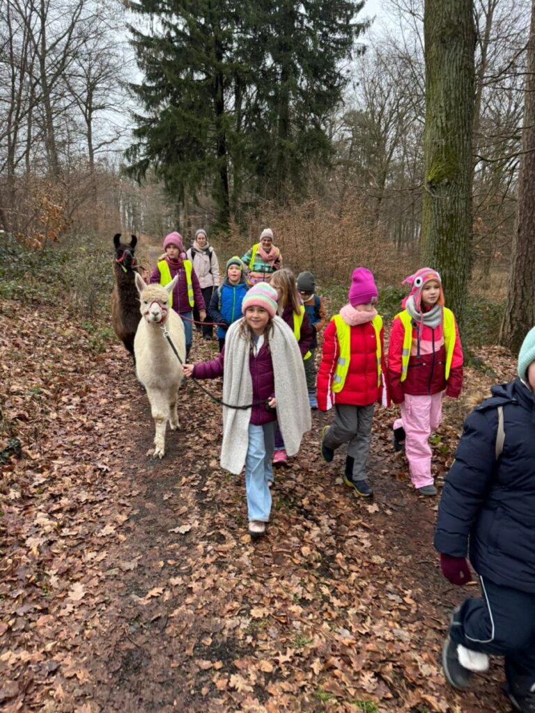 Adventlicher Ausflug mit Lama und Alpakas!